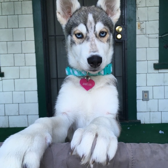 Meet the seller - Picture 5 of 7